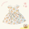 Frock011